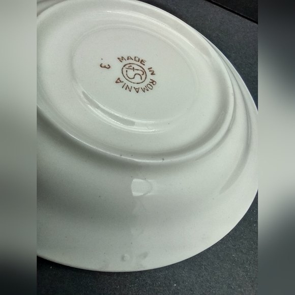 Vintage Faianta Sighisoara (FS) Romania Tea Cup & Saucer Ivory Autumn - Picture 4 of 8